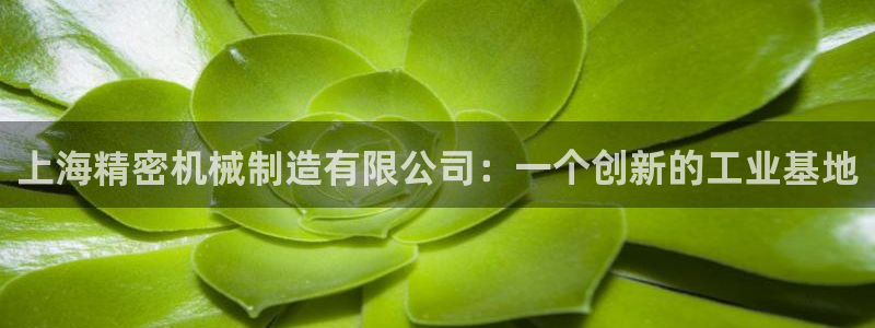 彩神v8下载app5.0：上海精密机械制造有限公司：一个创新的工业基地