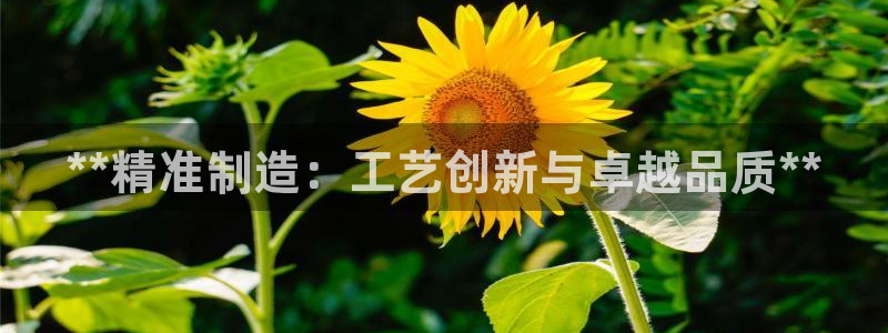 彩神大发三期计划网站